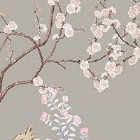 男人左手手相图解 手掌红润柔软代表什么命运