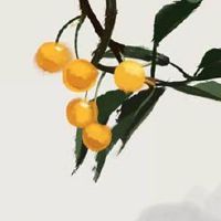 2022年8月1日建军节是订婚黄道吉日吗 今日黄历查询