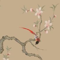 车牌尾数是00吉利吗 万物生长的车牌号