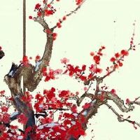 2022年8月12日出生属虎女宝宝是什么命 吉祥加持 财富无忧