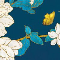 脸上的痣长在哪里最好 最有福气的痣位置图解