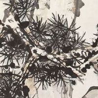 老司机给的车牌号怎么上车 车牌号码的阴阳搭配