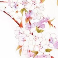 结婚女方必须买的东西嫁妆 陪嫁箱子里面放什么