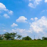 女走比肩大运整体运势发展 有哪些方面要注意