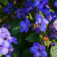 男午时女未时合婚情况如何 相互契合