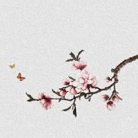 命里无姻缘的特征 女命官星过多姻缘差