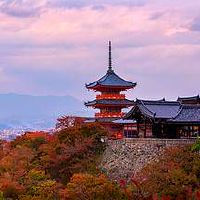 女命比肩坐比肩的特点 吃苦耐劳