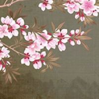 眉中间有一竖纹征兆 眉中间竖纹的含义解析