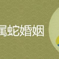 属蛇的女性寡妇命吗