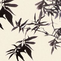 姻缘到底是不是天注定 命中的孽缘也是一种缘分