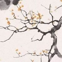 车牌号5开头的含义 数字5开头提升生意运势