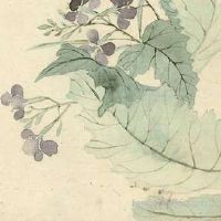 5月14日父亲节出世的男孩子好么,归属于什么命？