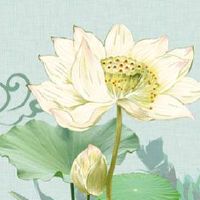 2022年8月26日出生属虎女孩是什么命 温柔敦厚 事业有成