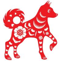 1994年属狗买楼买哪个楼层好 94年属狗买房几楼最好