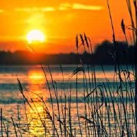 95年属猪女和91年属羊男婚姻相配吗 婚后幸福吗