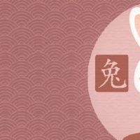 属相兔人2022年每月运程