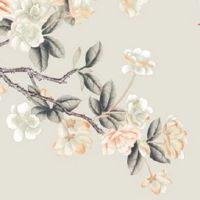 车牌号带4好吗 车牌号码4带来双喜临门