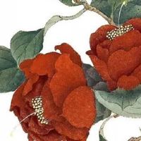 2022年10月属鼠人最佳入宅吉日 搬进新家好日子