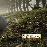 67年属羊55岁命中注定运势怎样