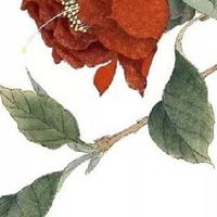 属蛇的几点出生有福气 丑时子时酉时生横财加身