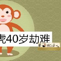 1980属猴的40岁之后有一难是真是假