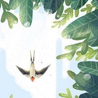 夏至将至,民间讲究:一要吃,二不做,三忌讳