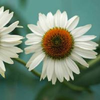 哪些星座喜欢刺激不喜欢一成不变的生活