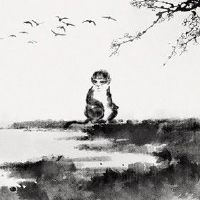 属猴2022年事业运势 形式低调谨防小人