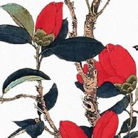 黄历查询:生肖猪2022年10月最旺的入宅吉日