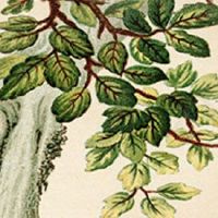 车牌号最后一位是字母 车牌号码的稀有字母