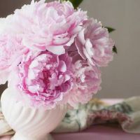 狮子座和天蝎座婚配匹配值如何