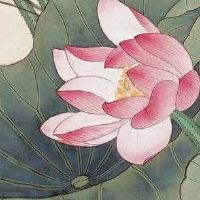 开个风水店起什么名字好 洋气有魅力店铺起名