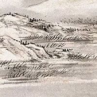 2022年属猴的财运如何 财源广进发展快