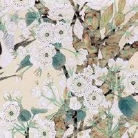 同年夫妻都属虎好不好 有正义感的代表