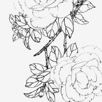 98年属虎女能戴金吗 适合戴什么首饰