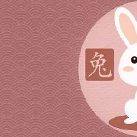 2022年属相兔全年度运程女性