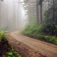 十二星座中哪些星座女性不能凶只能好好宠着