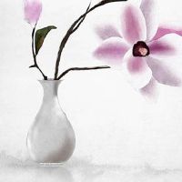 黄道吉日查询:2022年9月21日这天黄历宜忌查询