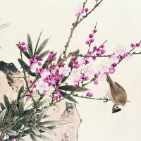 收银台忌讳放什么东西 绿植放收银台上会影响店铺财运