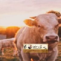 1973年牛女2022年每月运势详细说明