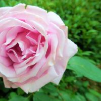 十二星座中哪些星座的微笑是一把温柔的刀