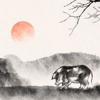 2022年七月属猪人事业运好吗 贵人帮扶如愿以偿