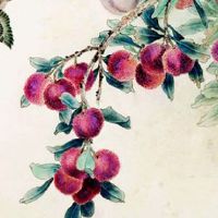 代表顺利发财的公司名字 企业起旺财公司好名字