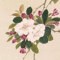 98年属虎女本命年适合佩戴什么 戴粉水晶遇见正缘