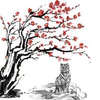 86年属虎女的2022年怎么样 家庭身体两手抓