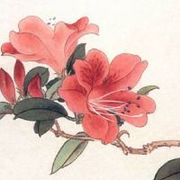 结婚添箱多少钱合适 男方给压箱钱多少合适