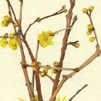 夫妻宫天府之前就认识的人 天府夫妻宫看另一半