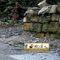 70年属狗52岁有一灾是真是假