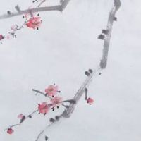 2022年10月26日生肖冲煞: 今日冲什么生肖