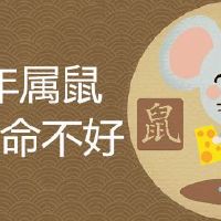 96年属鼠几月命不好